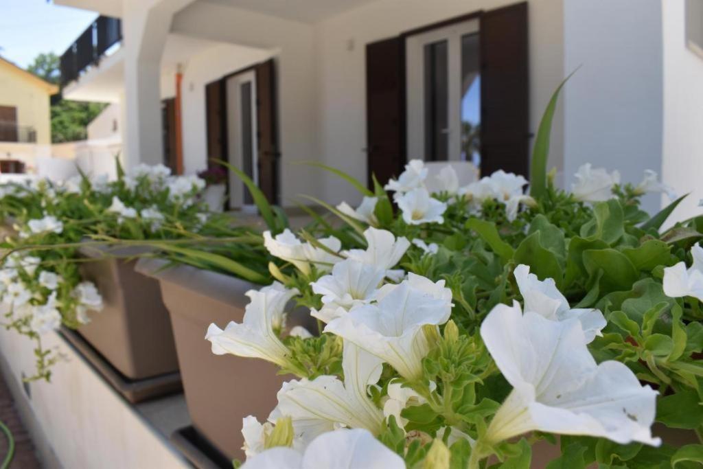 B&B Lastracu Castellammare del Golfo Exterior foto